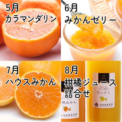 【発送月固定定期便】家庭用 柑橘定期便M(毎月)全12回