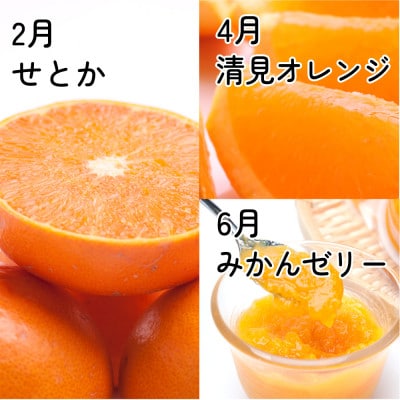 【発送月固定定期便】家庭用 柑橘定期便M(偶数月)全6回