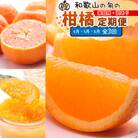 【発送月固定定期便】家庭用 柑橘定期便M(4～6月)全3回
