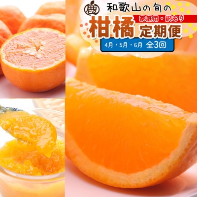 【発送月固定定期便】家庭用 柑橘定期便M(4～6月)全3回