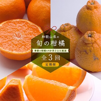 2022年10月発送開始『定期便』和歌山有田の季節の厳選柑橘5kg フルーツ定期便 4か月ごと全3回