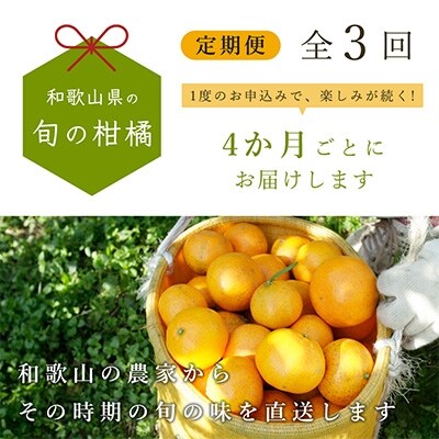 2022年10月発送開始『定期便』和歌山有田の季節の厳選柑橘5kg フルーツ定期便 4か月ごと全3回