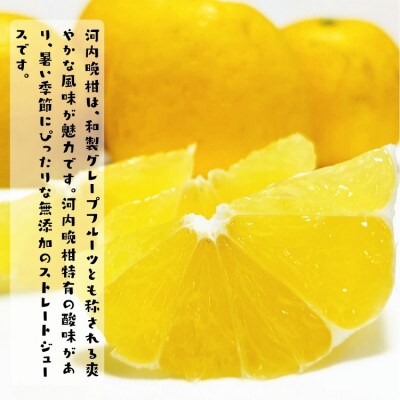 【数量限定】河内晩柑100%のジュース(無添加ストレート)　1,000ml×3本セット
