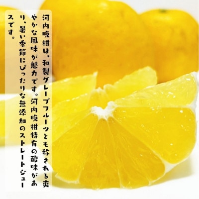 【数量限定】河内晩柑100%のジュース(無添加ストレート)　1,000ml×6本セット