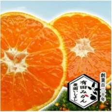 特選 有田みかん【創業120年農家直送】 5kg サイズ混合