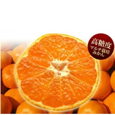 特選 有田みかん【創業120年農家直送】 3kg サイズ混合