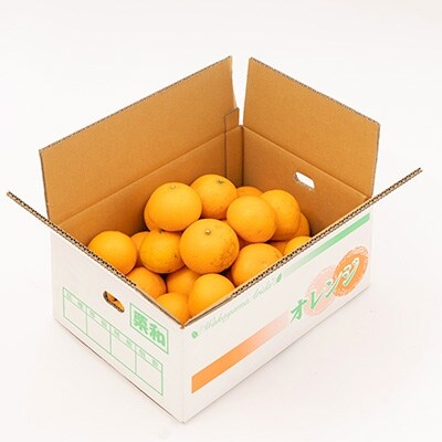 和歌山県有田産　清見オレンジ　約5kg