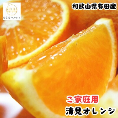 ≪先行予約 2027年2月～発送≫有田育ちの完熟清見オレンジ(ご家庭用)　10kg
