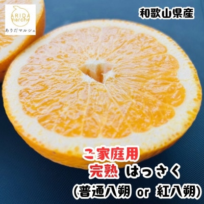 ≪先行予約 2027年2月～発送≫有田育ちの濃厚八朔(ご家庭用・普通八朔又は紅八朔) 5kg