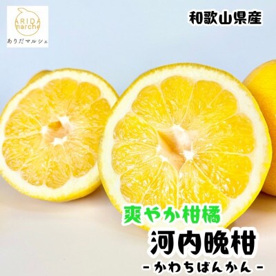 ≪先行予約 2027年4月～発送≫【爽快柑橘】有田育ちの爽やか柑橘 河内晩柑(ご家庭用) 7.5kg