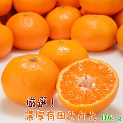【2024年11月下旬発送】【先行受付】厳選!濃厚有田みかん　10kg