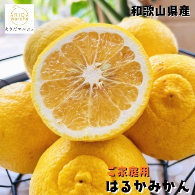 【先行受付 2026年1月～発送】【人気柑橘】有田育ちのご家庭用はるかみかん　5kg