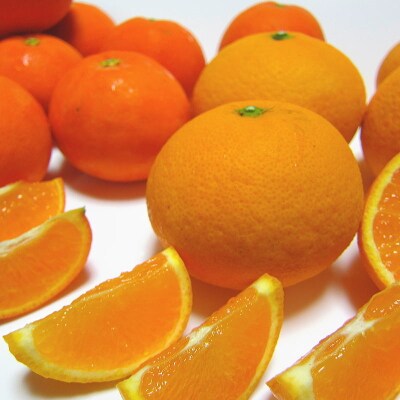 【2022年5月下旬発送】有田育ちの旬の濃厚柑橘詰め合わせセット(ご家庭用)　 約3.5kg