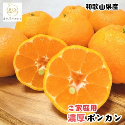 ≪先行受付・2027年1月～発送≫有田育ちの濃厚ポンカン(ご家庭用) 3kg