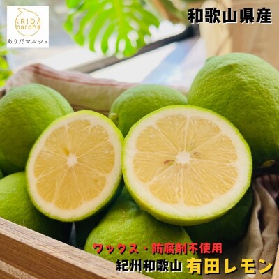 【国産】紀州和歌山 有田レモン 3kg