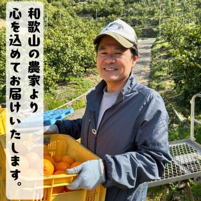 ≪出荷中≫有田育ちの爽快セミノールオレンジ(ご家庭用)　3kg