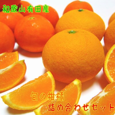 【2023年3月下旬頃～発送】【旬の美味】有田育ちの旬の柑橘詰め合わせセット(ご家庭用)　 約3kg