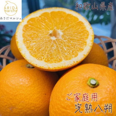 【先行受付・2026年2月～発送】有田育ちの濃厚八朔(ご家庭用)　10kg