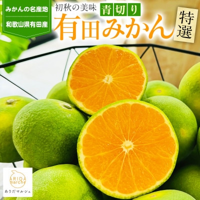 【先行受付2025年発送】特撰 青切り有田みかん 3kg