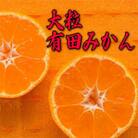 【先行受付】【2023年11月中旬～発送】【果汁たっぷり】迫力満点! 大粒 有田みかん　 約10kg