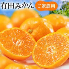 【先行受付】【2023年11月より順次発送】有田育ちのご家庭用濃厚有田みかん　7kg