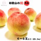 【先行受付・2026年6月～発送】厳選 和歌山のこだわり桃　4～6玉(約1.5kg)