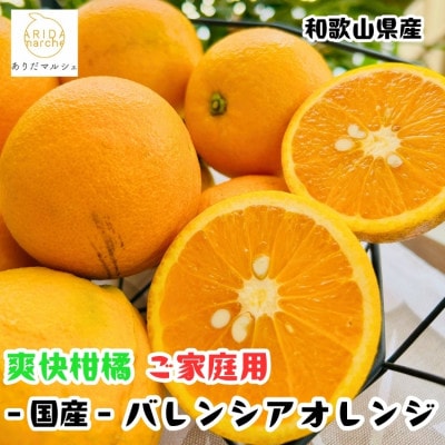 ≪出荷中≫有田育ちの国産バレンシアオレンジ(ご家庭用) 3kg【訳あり】