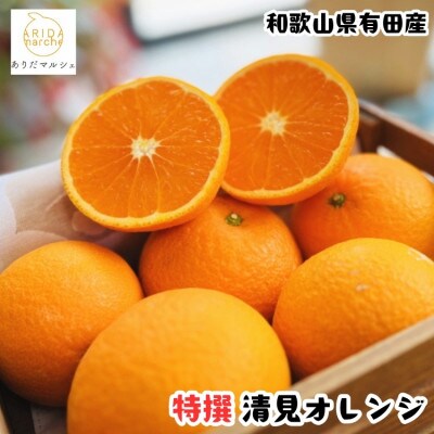 ≪先行予約 2027年2月～発送≫特撰 完熟清見オレンジ 7.5kg