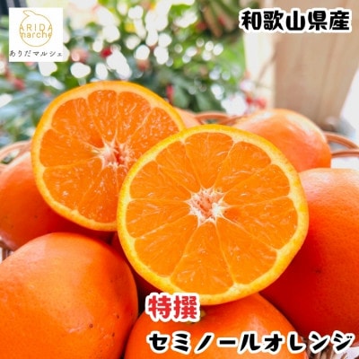 ≪出荷中≫厳選 セミノールオレンジ 3kg