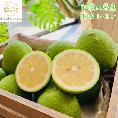 【先行受付 9月末～発送】【国産】紀州和歌山　有田レモン　約2kg