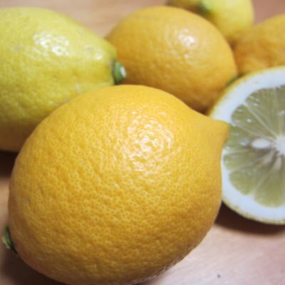 【先行受付 9月末～発送】【国産】紀州和歌山　有田レモン　約2kg
