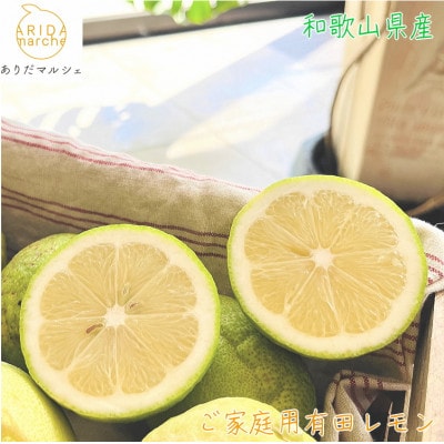 【先行受付 9月末～発送】紀州和歌山　ご家庭用有田レモン　約1.5kg【ノーワックス・ノー防腐剤】