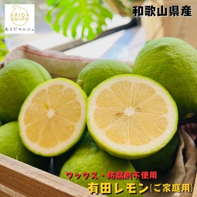 紀州和歌山 ご家庭用有田レモン 5kg【ノーワックス・ノー防腐剤】【訳あり】