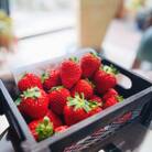 <先行受付>農家直送!朝摘み完熟まりひめいちご　約300g×2パック