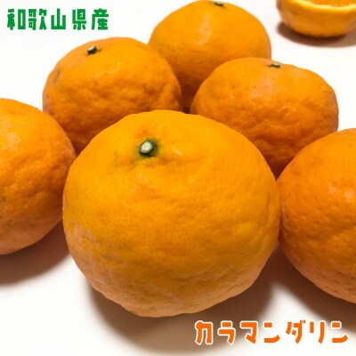 【先行受付・2025年4月より発送】【みかん名産地和歌山有田】【樹上完熟】カラマンダリン　2kg
