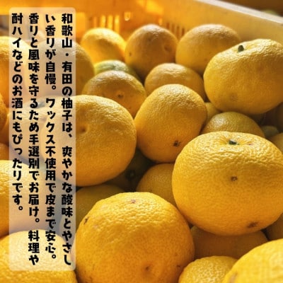 【先行受付・2025年10月末～順次発送】【爽やかな香り】紀州和歌山のご家庭用柚子(ゆず)　2kg