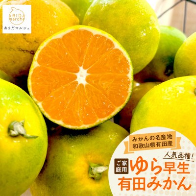 【2025年発送】ご家庭用ゆら早生有田みかん 3kg