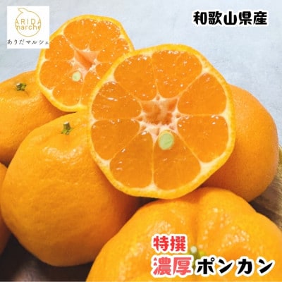 ≪先行受付・2027年1月～順次発送≫ 特撰 濃厚ポンカン 5kg