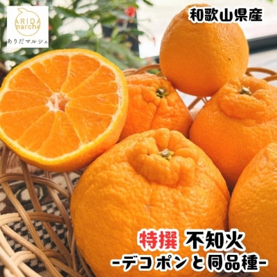 ≪先行受付・2027年1月末～発送≫【人気柑橘】 特撰 濃厚不知火 2.5kg