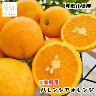 ≪先行予約 2027年6月～出荷≫有田育ちの国産バレンシアオレンジ(ご家庭用) 10kg【訳あり】