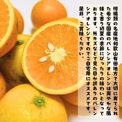 ≪先行予約 2027年6月～出荷≫有田育ちの国産バレンシアオレンジ(ご家庭用) 10kg【訳あり】