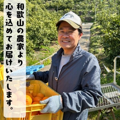 ≪先行予約 2027年6月～出荷≫有田育ちの国産バレンシアオレンジ(ご家庭用) 10kg【訳あり】