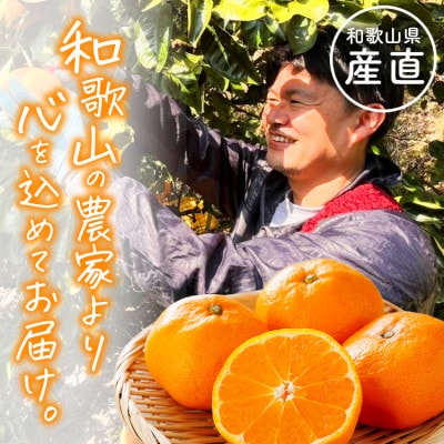 【発送月固定定期便】わかやま 旬のカンキツ定期便【M】全4回