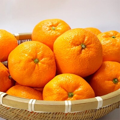 エコファーマーのこだわり有田みかん 5kg(サイズ混合)(広川町)
