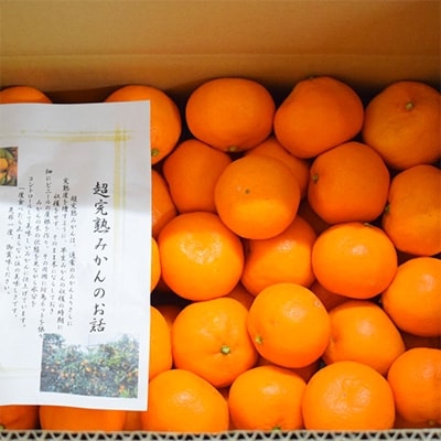 【濃厚・まろやか】有田産樹上越冬完熟みかん約5kg(2S～Mサイズ混合・秀品)(広川町)