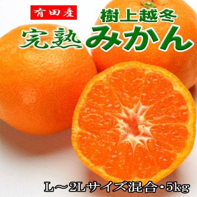 【濃厚・まろやか】有田産樹上越冬完熟みかん約5kg(L～2Lサイズ混合・秀品)(広川町)