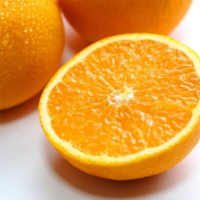 【濃厚】有田産清見オレンジ5kg(M~3Lサイズおまかせ)