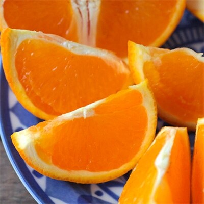 【濃厚】有田産清見オレンジ約5kg(M～3Lサイズおまかせまたは混合)ご家庭用