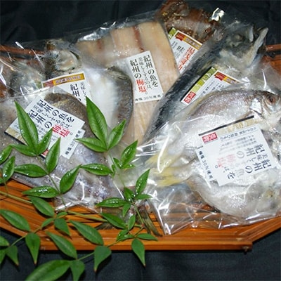 和歌山の近海でとれた新鮮魚の梅塩干物と湯浅醤油みりん干し　6品種10尾入りの詰め合わせ