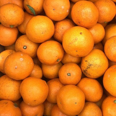 【訳あり】和歌山下津早生みかん約5kgご家庭用向け(サイズ混合)(広川町)